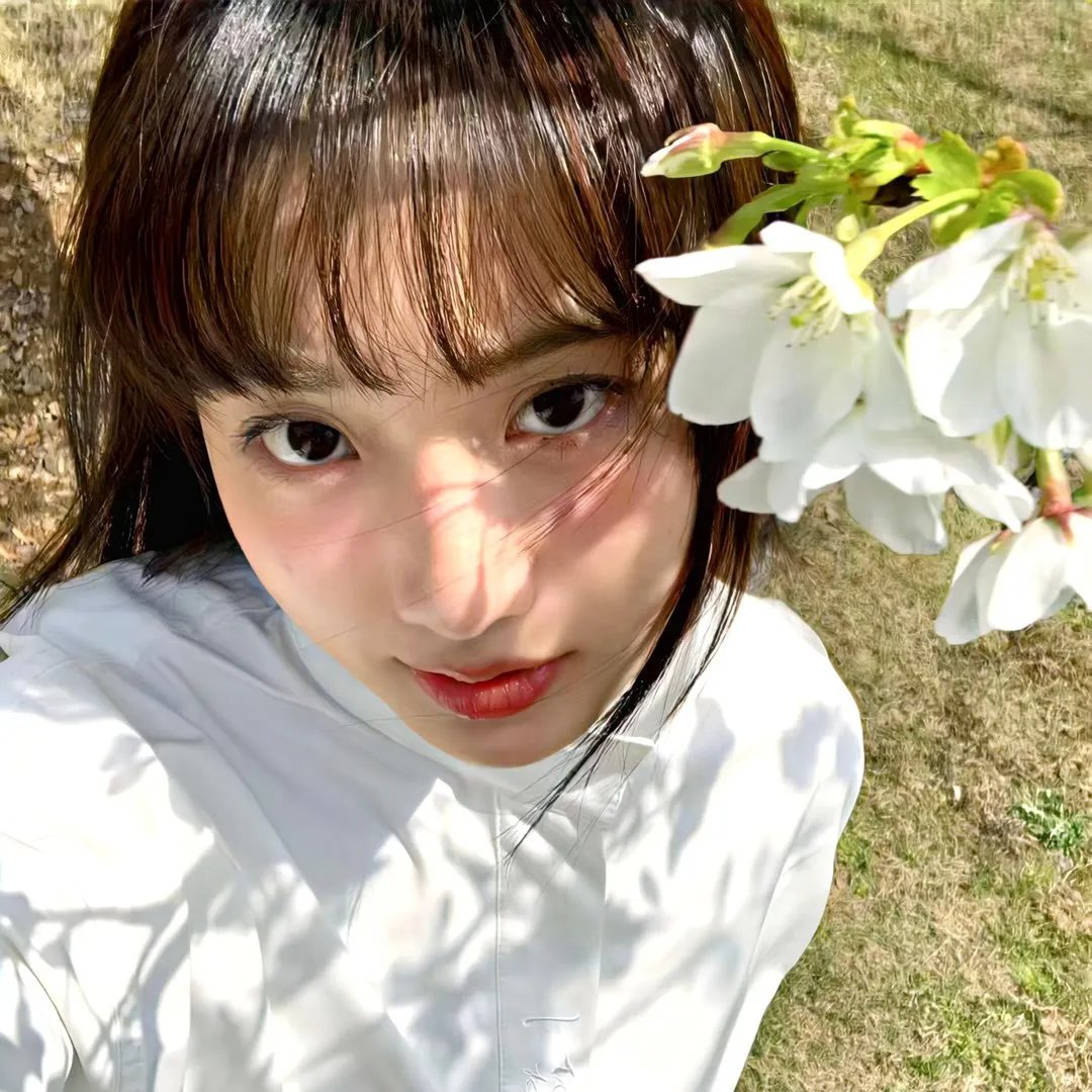 飞鸟集2021
